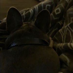 Meet your Posher, Stephen